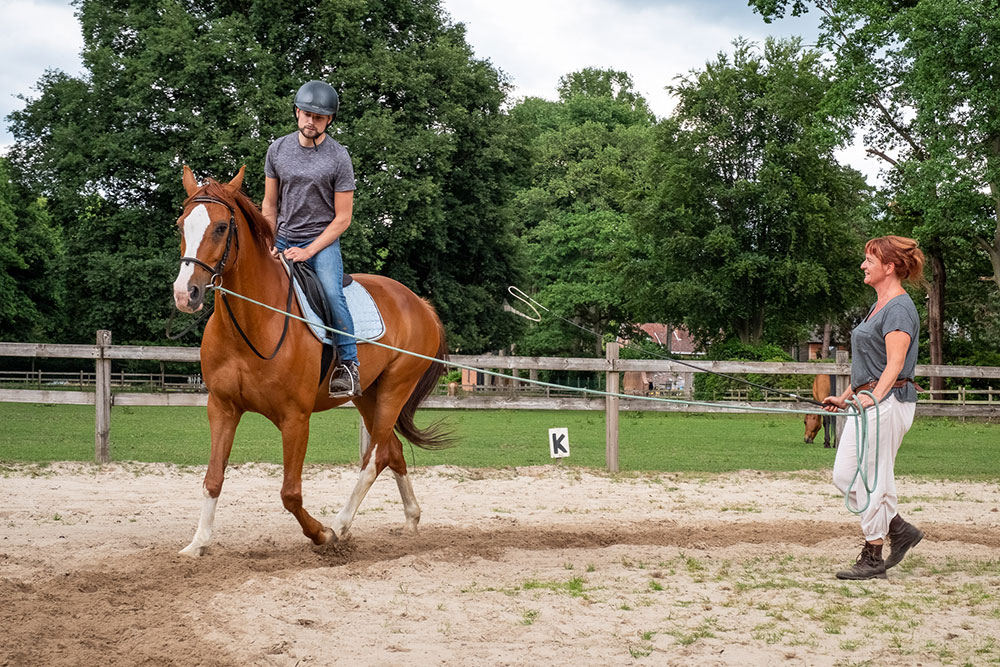 bouwen Voorbijganger Antibiotica Leren paardrijden — Privéles paardrijden op jouw locatie Antwerpen